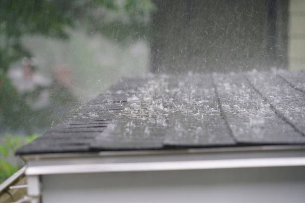 Best Green or Eco-Friendly Roofing Solutions  in Blackhawk, CA