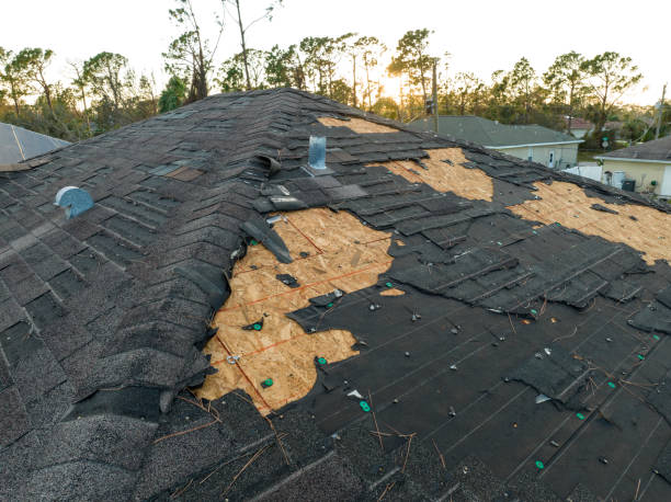 Professional Roofing Service in Blackhawk, CA