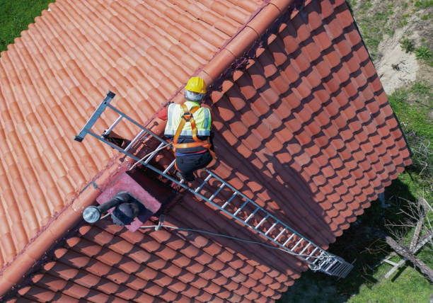 Best Roof Moss and Algae Removal  in Blackhawk, CA