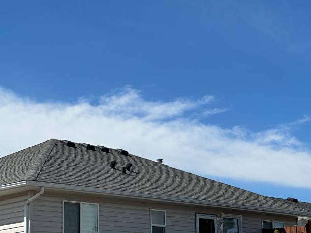 Best Asphalt Shingle Roofing  in Blackhawk, CA